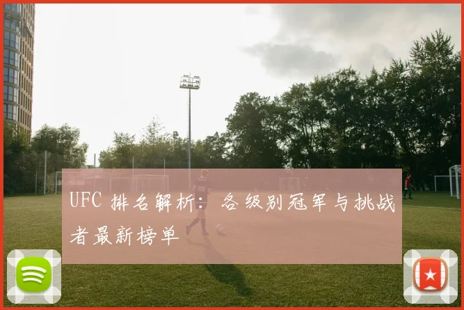 UFC 排名解析:各级别冠军与挑战者最新榜单