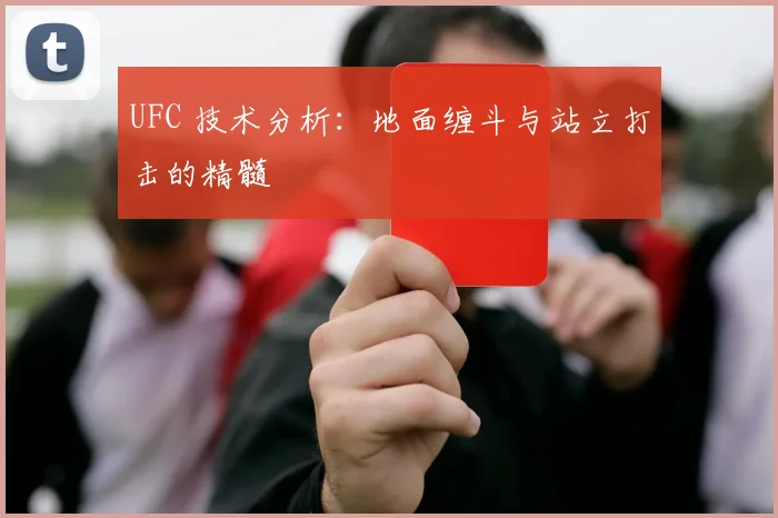 UFC 技术分析：地面缠斗与站立打击的精髓